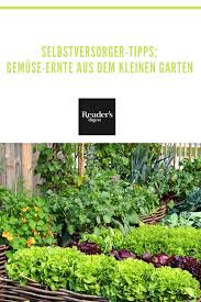 Selbstversorger Tipps Wie Du Frisches Gemuse Im Kleinen Garten Anbaust In 2020 Garten Pflanzen Garten Gemuse Pflanzen