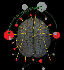 Proportion Of Tdcs Montages Utilized Across Eighty Three