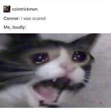 Check spelling or type a new query. Gefallt 2 360 Mal 23 Kommentare Deviantxconnor Auf Instagram Protect Connor At All Costs Dbh De Funny Animal Memes Funny Pictures Animal Memes