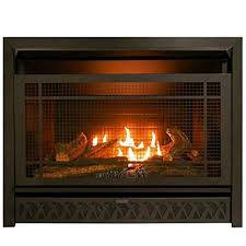 Check spelling or type a new query. 29 In Propane Natural Gas Fireplace Insert Dual
