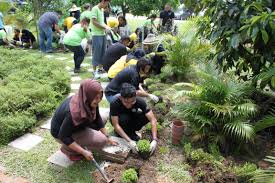 According to mohm's terminology, pvas refers to. Starbucks Celebrates Its 5th Global Month Of Service Gaya Travel Magazine