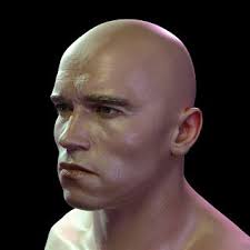 3d Model Arnold Schwarzenegger Head 3d Model Arnold Schwarzenegger 3d Model Schwarzenegger