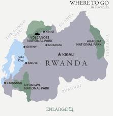 Rwanda is a relatively stable east african country, and easily accessible from kenya and uganda. Gorilla Trekking In Rwanda The Africa Specialists