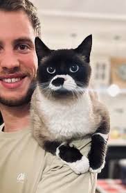 Missing cat named Beans in Fort St John area