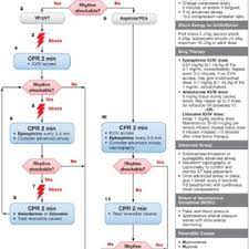 Support objectives    recognise the four cardiac arrest rhythms identify correctly the appropriate algorithm for each of the rhythms discuss the potential reversible causes of cardiac arrest bls algorithm if appropriate precordial thump attach monitor/defib assess rhythm. Figure Pediatric Cardiac Arrest Algorithm 2018 Update Cpr Indicates Download Scientific Diagram