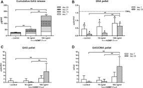 Li jun li portrays megan leeds on the following. Glycosaminoglycan Gag Release And Gag Dna And Gag Dna Content In Download Scientific Diagram