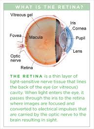 Vitreomacular Traction Syndrome The American Society Of Retina Specialists