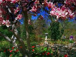 My Nyc Part Ii Take A Walk In Central Park To Meander Along Shakespeare Garden Garden Central Park Nyc