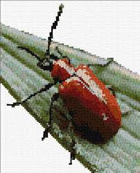 We did not find results for: Beetle On Leaf Cross Stitch Designs