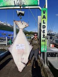 Top keywords % of search traffic. Fairbanks Woman Takes The Lead In The Valdez Fish Derbies With A 285 6 Pound Halibut Kvak