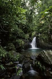 Waterfall In Tropical Rainforest Much Appreciated By Www Escape2tropics Com Rainforest Photography Tropical Rainforest Waterfall