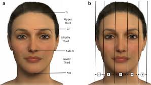 You're more likely to get a bruise at the site of the needle injection if you're taking aspirin or ibuprofen; Facial Contouring By Using Dermal Fillers And Botulinum Toxin A A Practical Approach Springerlink