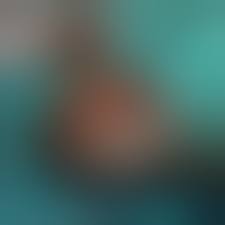 Травмы головного мозга у животных: симптомы, лечение, профилактика