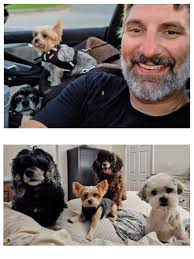 What is your Yorkie's name?