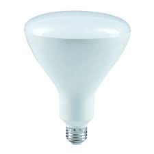 R40 2150 865 Led 12 Feit Led Pool Light Bulb Replaces 300 Watt 12 Volt