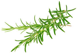 Un Petit Air De Romarin Pour Bien Passer L Hiver Romarin Remedes Naturels Remede
