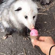 Pin On Cute