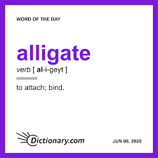 Free Word Of The Day From Dictionary Com In 2020 Uncommon Words Word Of The Day Words