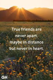 But the sentiment is, having a friend console you after a. 20 Short Friendship Quotes To Share With Your Best Friend Cute Friend Quotes Distance Long Distance Friendship Quotes Short Friendship Quotes