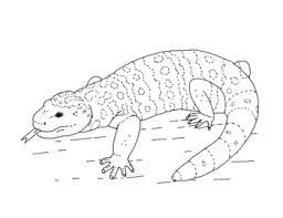 Moshi monsters are really cool and cute cartoon caricatures. Gila Monster Coloring Page By Mama Draw It Teachers Pay Teachers