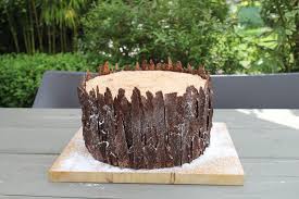 Motivtorte baumstamm rezept das grosse promibacken. Baumstamm Hochzeitstorte Coucoutorten