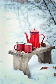 Picnics Are Fun In Summer But Why Stop There Winter Picnic Winter Garden Winter Snow