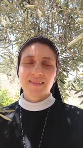 Fuheis net الفحيص نت