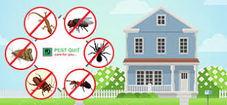 Get pest control india bangalore office address, contact detail, phone number, reviews & ratings.pest control services we are leading residential and commercial pest control service provider in bangalore. Pest Control Services Pest Quit