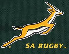 Rugby Afrique Du Sud Le Pays Ou Le Rugby Est Plus Qu Un Sport