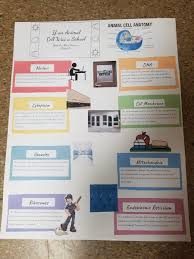 Animal cell analogy project ideas. Sam Dix Dixscience1 Twitter
