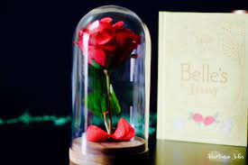 In this original diy from 1000bulbs.com, we show you how to assemble your own enchanted rose from beauty and the beast using led lights. Diy Beauty And The Beast Enchanted Rose Annmarie John