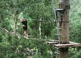 It is highly advisable to purchase the tickets online first before visiting as … 10 Unique Activities You Can Try In Kl And Selangor Expatgo