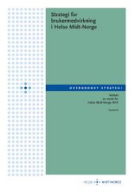 Lena dirdal bsy 154 15. Https Helse Midt No Documents Strategi Strategi 20for 20brukermedvirkning 202007 Pdf