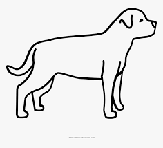 The rottweiler is a tough, protective, and loyal canine that is a great favorite among families and singles alike. Rottweiler Coloring Page Pitbull Rottweiler Para Dibujar Hd Png Download Transparent Png Image Pngitem