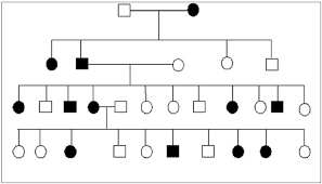 Pedigree Diabetes Nivanze