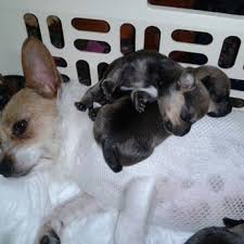 Maybe you would like to learn more about one of these? Kindness Animal Hospital 16 Reviews Veterinarians 10909 N Nebraska Ave Tampa Fl Phone Number Yelp
