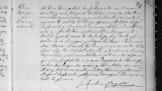 Resultado de imagen para GENEALOGIA DE LA FAMILIA GRUBER LEZAMA DE UPATA SIGLO XIX