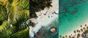 La datcha beach, le bourg, le gosier 97190, guadeloupe. Die Schonsten Strande Der Inseln Von Guadeloupe
