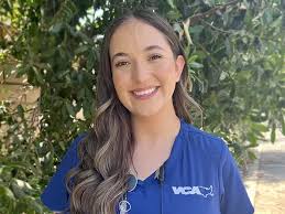 VCA California Veterinary Specialists