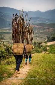 Entrée d une discothèque a pattaya thailande. Voyage Inde Maroc Vietnam Laos Thailande Turquie Auto Abstrait Laos Voyage Inde Vietnam