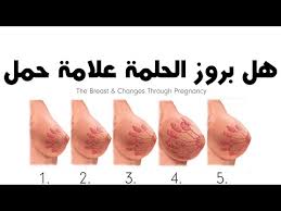 فهرس قطعة مؤلف موسيقى وجع حلمات الصدر للحامل comertinsaat com