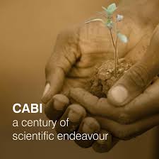 Temperatures fall as low as 0°c (32°f) in the mountains of the north and reach as high as 47°c (117°f) on the coasts. 100 Year Book By Cabi Issuu