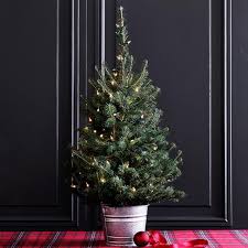 Small handmade christmas trees are perfect for a tiny apartment or for any number of places in your home or office where you wish to add. Best Live Tabletop Christmas Trees 2020 Popsugar Home