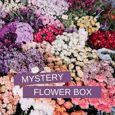 Fresh flowers near me wholesale. Mystery Flower Boxes Wholesale Dutch Flowers Direct Florist Supplies Uk