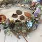 Botanical Christmas Wreath Workshop – Kiama event image