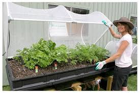They also help control insect damage. Large Raised Garden Bed With Garden Cover Vegepod Usa