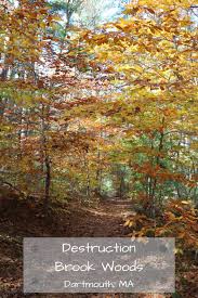 Peaceful Destruction Brook Woods Massachusetts Travel New England Travel Cool Places To Visit