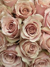 Quicksand Roses More Boeketje Bloemen Beautiful