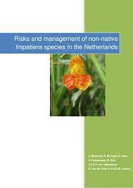 The setting is a normal family. Pdf Risks And Management Of Non Native Impatiens Species In The Netherlands