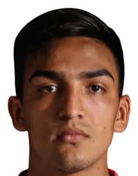 César Ibáñez Stats